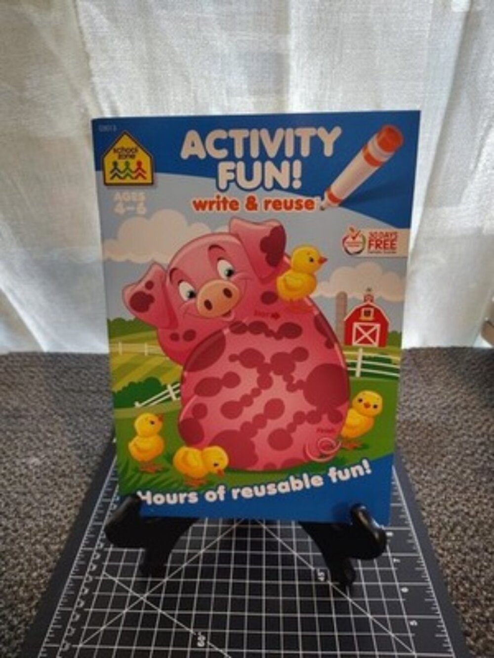 School Zone Activity Fun! Write & Reuse Workbook (Paperback or Softback)